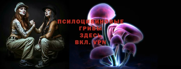 экстази Алексин